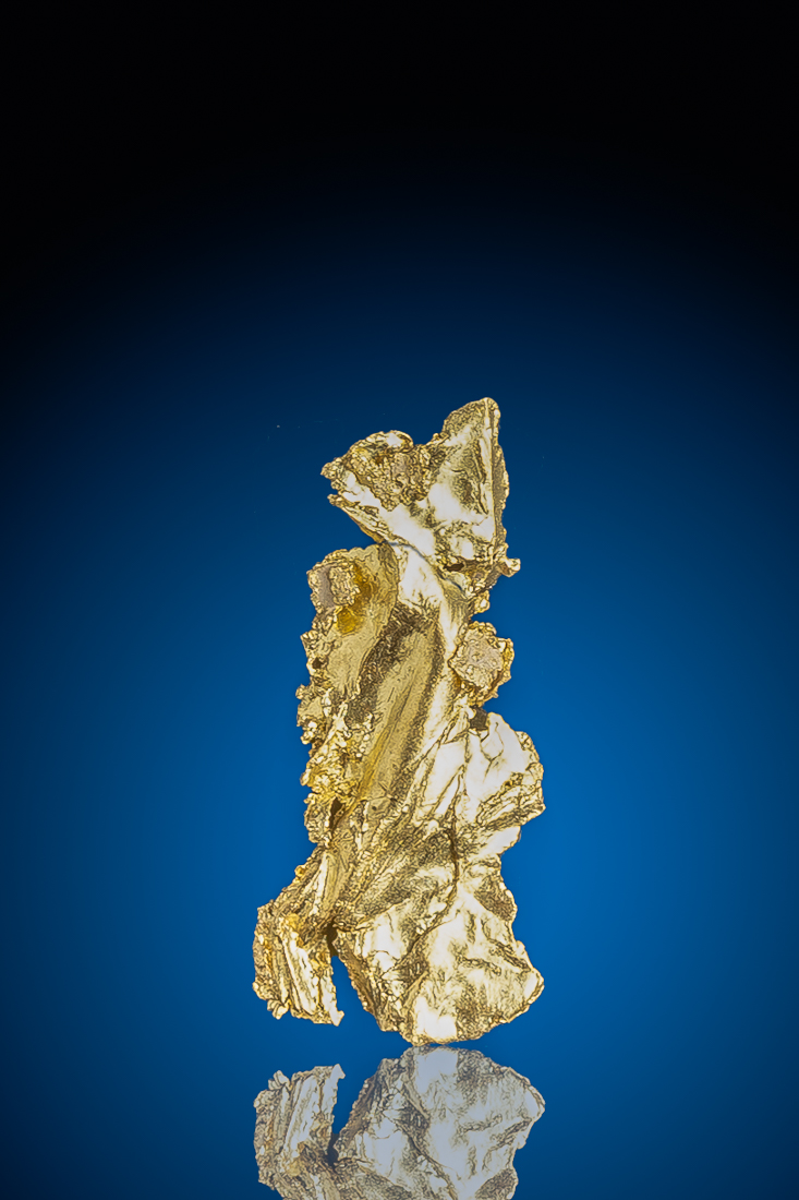 (image for) Long and Intricate Leaf Gold from the Harvard Gold Mine, CA